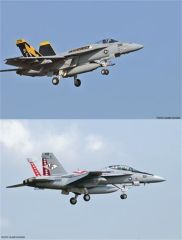Hasegawa 01963 1/72 Ölçek F/A-18E/F Super Hornet US Naval Aviat (Limited Edition) Savaş Uçağı Plastik Model Kiti