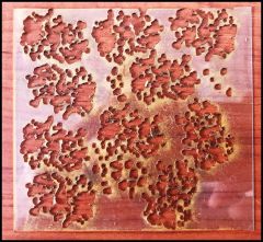WEATHERING STENCIL II
