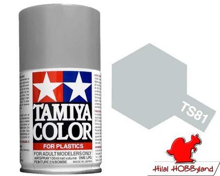 TS-81 British Navy Gray 100ml Enamel Sprey Boya