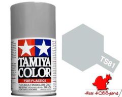 TS-81 British Navy Gray 100ml Enamel Sprey Boya