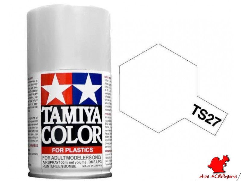 TS-27 Matt White 100 ml Enamel Sprey Boya