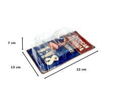 American Diorama AD76265 1/18 Ölçek Araba Yıkayan Bikinili Kız (Alisa) Sergilemeye Hazır Plastik Figürü