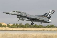 Babibi DBT01015 1/48 F-16 D, Tigermeet 2006, Dekal Çıkartma