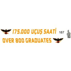 Babibi DBT01187 1/48 Öncel Filo, Dekal Çıkartma