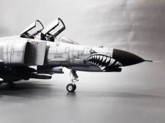 Babibi PB48004 1/48 Turaf F-4, 111.Panter Filo 60.Yıl, Dekal Çıkartma