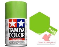 TS-22 Light Green 100 ml Enamel Sprey Boya
